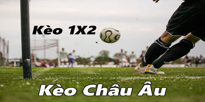 Kèo Châu Âu - Tìm Hiểu Thông Tin Chính Xác Dành Cho Người Mới