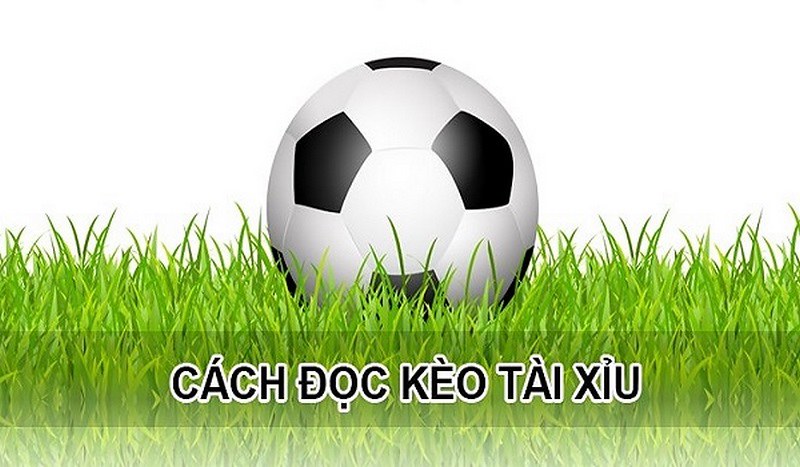 Kèo Tài Xỉu là gì? Cách Đọc Kèo Chính Xác Nhất Tại WW88